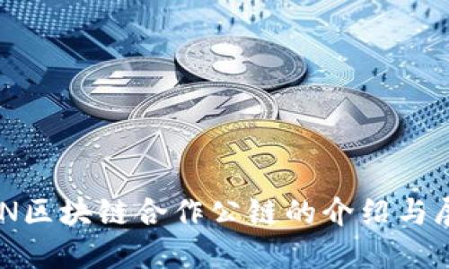 BSN区块链合作公链的介绍与展望