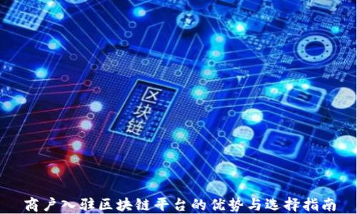 
商户入驻区块链平台的优势与选择指南
