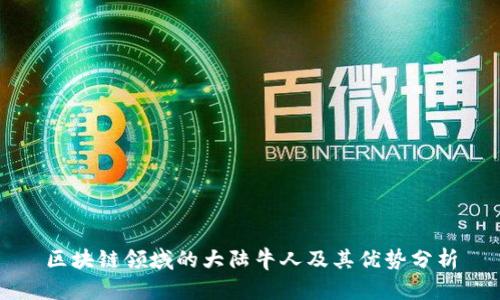 区块链领域的大陆牛人及其优势分析
