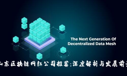 山东区块链网红公司推荐：深度解析与发展前景