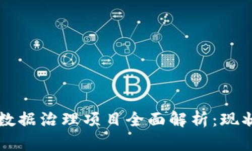 区块链数据治理项目全面解析：现状与未来