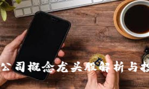 区块链公司概念龙头股解析与投资指南