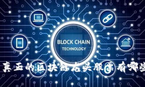 : 真正的区块链龙头股票有哪些？