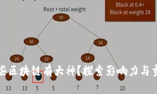 哪些区块链有大神？探索影响力与贡献