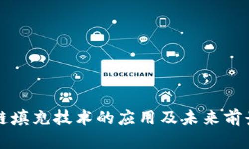 区块链填充技术的应用及未来前景探讨