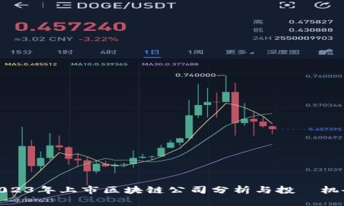 2023年上市区块链公司分析与投資机会