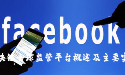 区块链全球监管平台概述及主要实例
