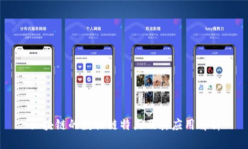 区块链的数据链特点及其应用解析