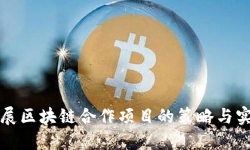 开展区块链合作项目的策略与实践
