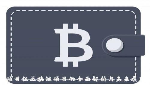 项目组区块链项目的全面解析与未来展望