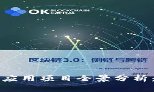 大通区块链应用项目全景分析：创新与发展