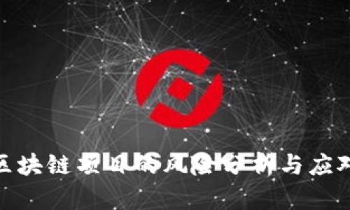投资区块链项目的风险分析与应对策略
