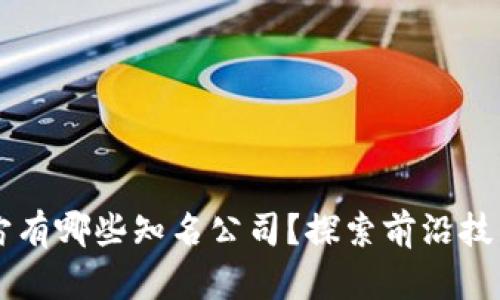 区块链元宇宙有哪些知名公司？探索前沿技术与商业模式