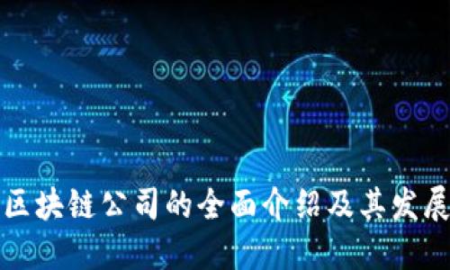 深圳区块链公司的全面介绍及其发展现状