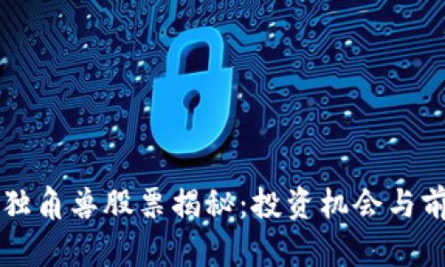 区块链独角兽股票揭秘：投资机会与前景分析