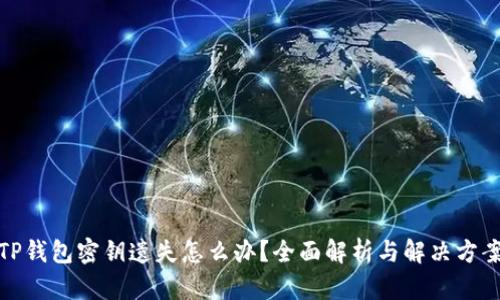 TP钱包密钥遗失怎么办？全面解析与解决方案