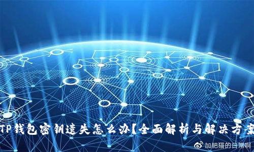 TP钱包密钥遗失怎么办？全面解析与解决方案