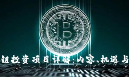 区块链投资项目详解：内容、机遇与风险