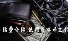 TP钱包转账手续费介绍：使用什么币支付转账手续