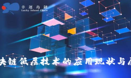 区块链低层技术的应用现状与展望
