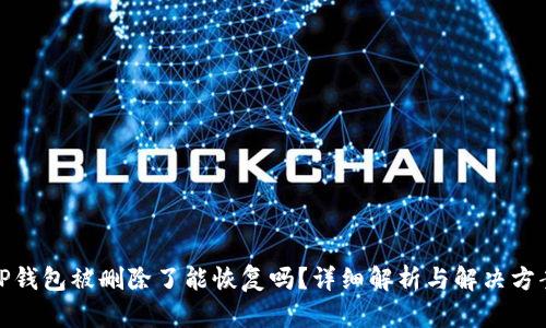 TP钱包被删除了能恢复吗？详细解析与解决方案
