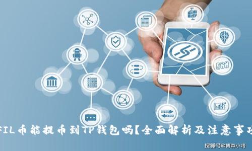 FIL币能提币到TP钱包吗？全面解析及注意事项