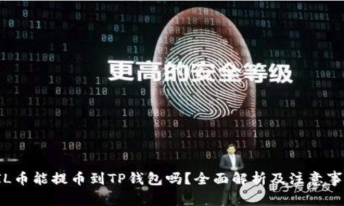 FIL币能提币到TP钱包吗？全面解析及注意事项