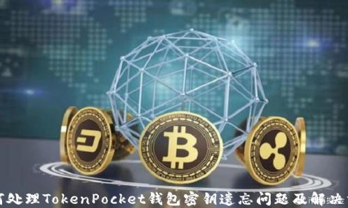 
如何处理TokenPocket钱包密钥遗忘问题及解决方案