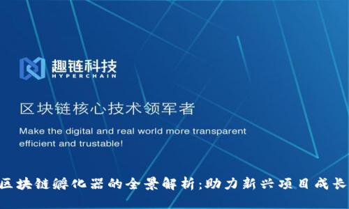 baioti区块链孵化器的全景解析：助力新兴项目成长的钥匙