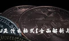 TP钱包的U是什么格式？全面解析与使用指南