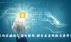 常州豪宅区的区块链公司全解析：探索未来科技