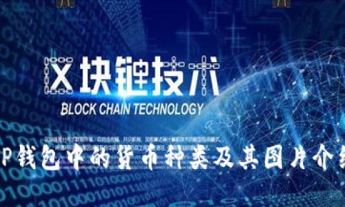 TP钱包中的货币种类及其图片介绍