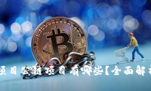 区块链项目公链项目有哪些？全面解析与推荐