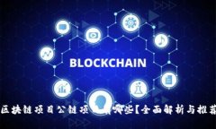 区块链项目公链项目有哪些？全面解析与推荐