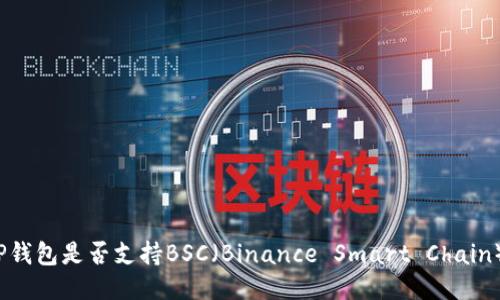 TP钱包是否支持BSC（Binance Smart Chain）？