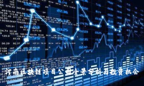 河南区块链项目公司全景分析与投资机会