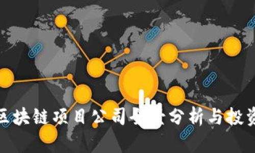 河南区块链项目公司全景分析与投资机会