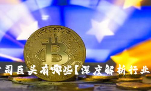 区块链公司巨头有哪些？深度解析行业领军企业