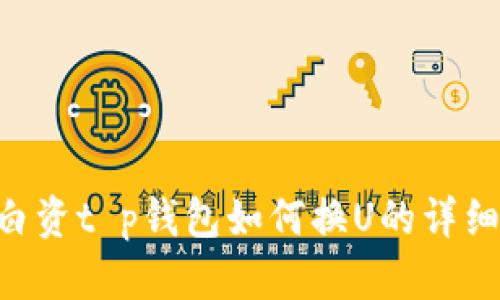 u换白资t p钱包如何换U的详细指南