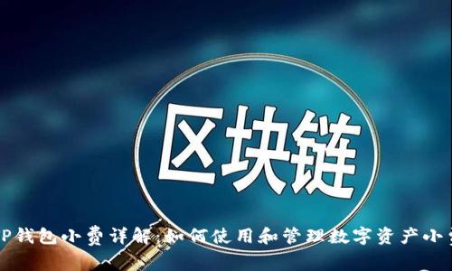 TP钱包小费详解：如何使用和管理数字资产小费