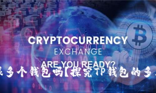 TP里是很多个钱包吗？探究TP钱包的多元化特点
