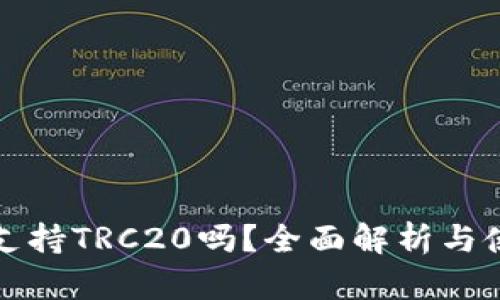 TP钱包支持TRC20吗？全面解析与使用指南