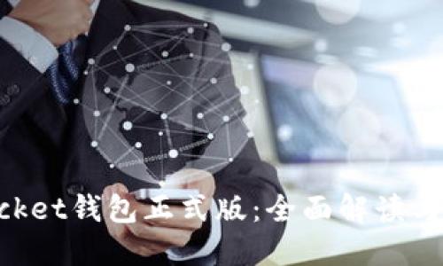 TokenPocket钱包正式版：全面解读与使用指南