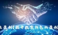 t p钱包怎么盈利？揭开数字钱包的盈利模式与策