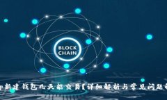 : tp新建钱包几天能交易？详细解析与常见问题解