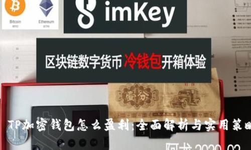 : TP加密钱包怎么盈利：全面解析与实用策略