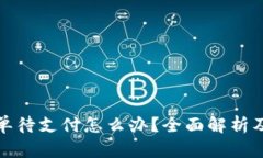 TP钱包订单待支付怎么办？全面解析及解决方案