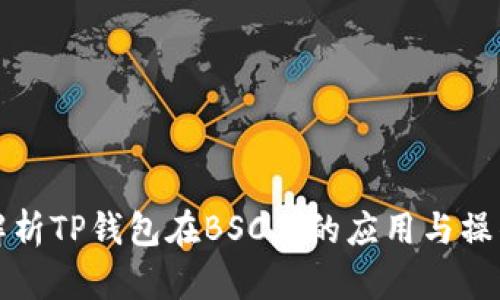 全面解析TP钱包在BSC上的应用与操作指南
