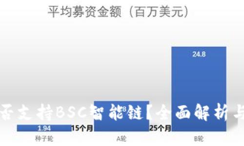 TP钱包是否支持BSC智能链？全面解析与使用指南