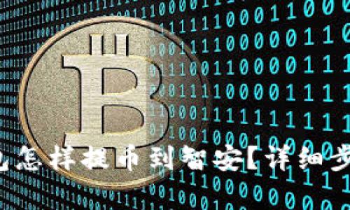 t p钱包怎样提币到智安？详细步骤解析